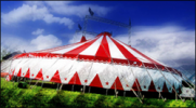  Cirque Anthony